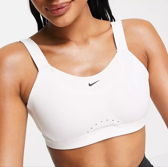 NWT Women's Nike Plus size 1X (C-E CUP) high support sports bra